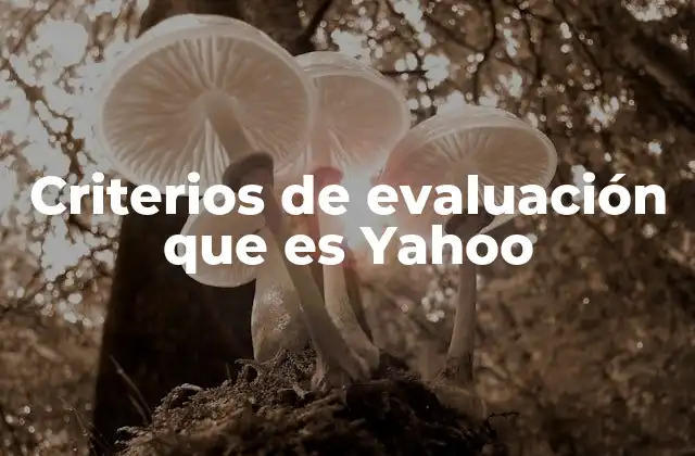Criterios de Evaluación que es Yahoo