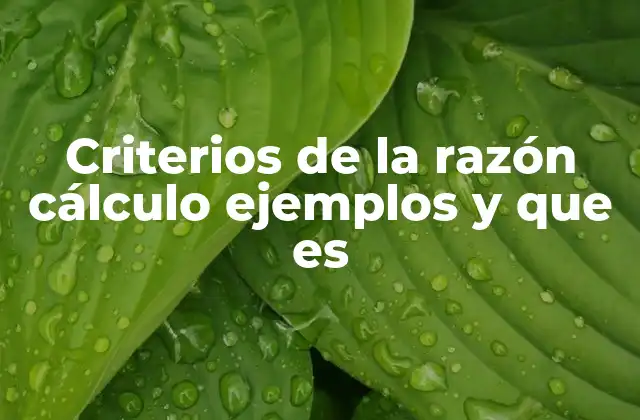 Criterios de la Razón Cálculo Ejemplos y que es