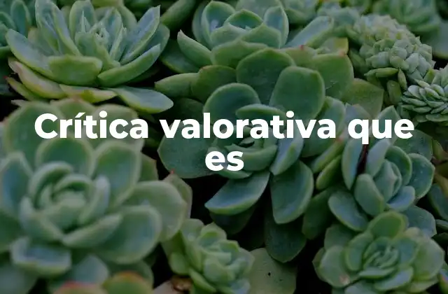 Crítica Valorativa que es