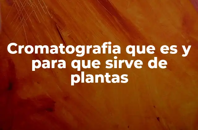 Cromatografia que es y para que Sirve de Plantas