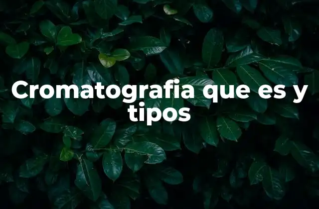 Cromatografia que es y Tipos
