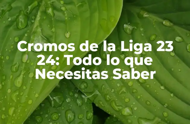 Cromos de la Liga 23 24: Todo Lo que Necesitas Saber