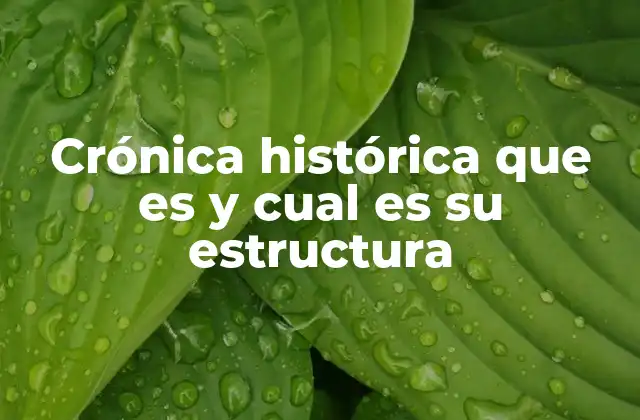 Crónica Histórica que es y Cual es Su Estructura