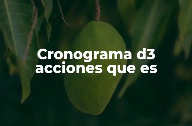Cronograma D3 Acciones que es