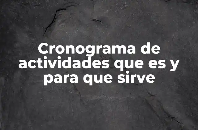 Cronograma de Actividades que es y para que Sirve