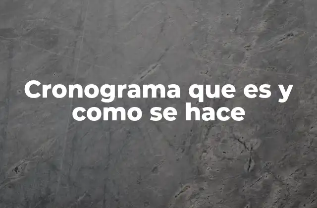 Cronograma que es y como Se Hace