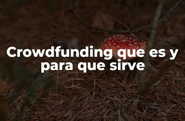 Crowdfunding que es y para que Sirve