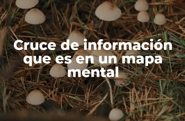 Cruce de Información que es en un Mapa Mental