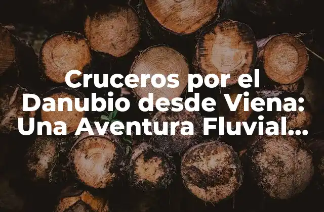 Cruceros por el Danubio desde Viena: una Aventura Fluvial Única