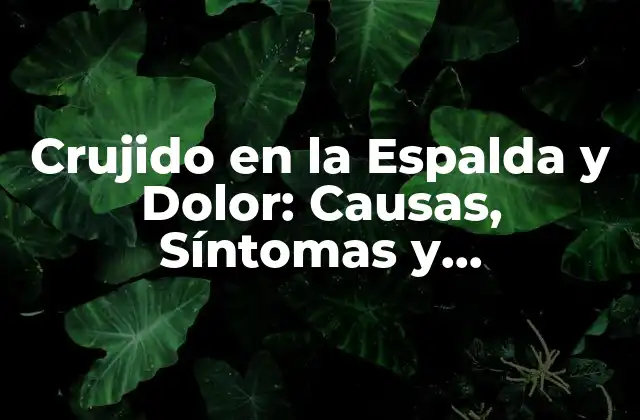Crujido en la Espalda y Dolor: Causas, Síntomas y Tratamientos