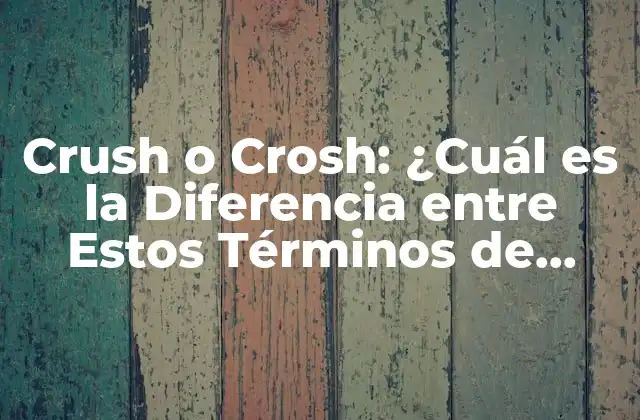 Crush o Crosh: ¿cuál es la Diferencia entre Estos Términos de Internet?