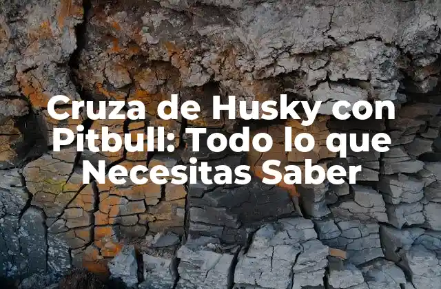 Orígenes y Historia de la Cruza de Husky con Pitbull