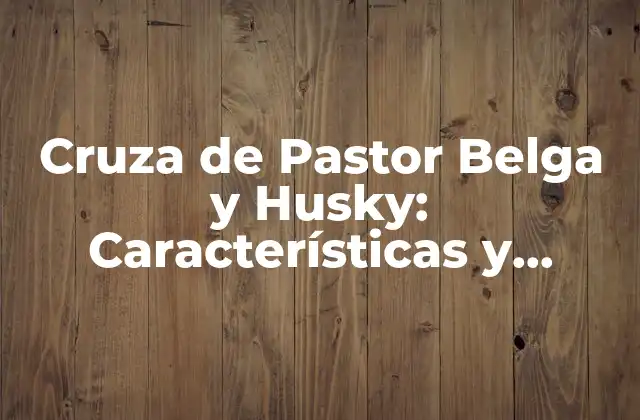 Cruza de Pastor Belga y Husky: Características y Cuidados