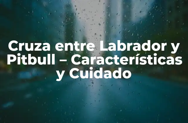 Cruza entre Labrador y Pitbull – Características y Cuidado