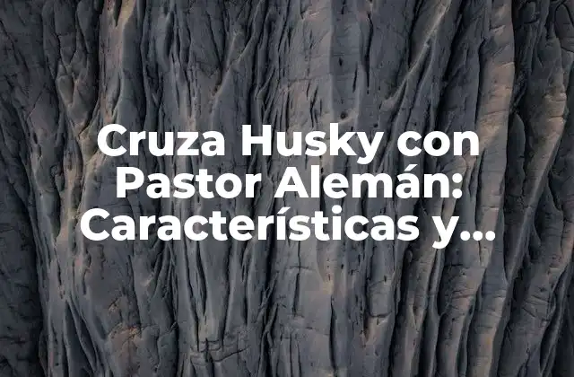 Cruza Husky con Pastor Alemán: Características y Cuidados Del Cruce de Razas