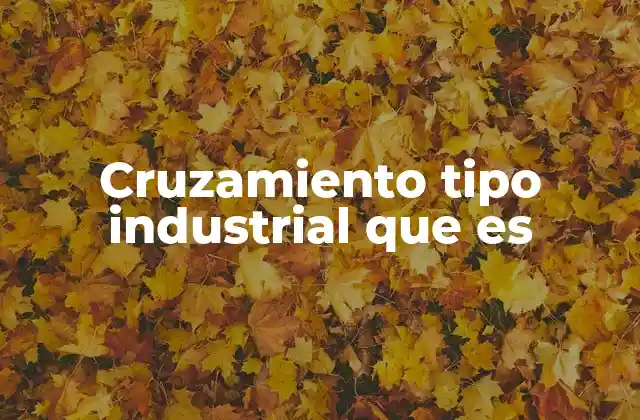 Cruzamiento Tipo Industrial que es