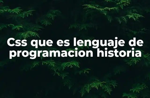 Css que es Lenguaje de Programacion Historia