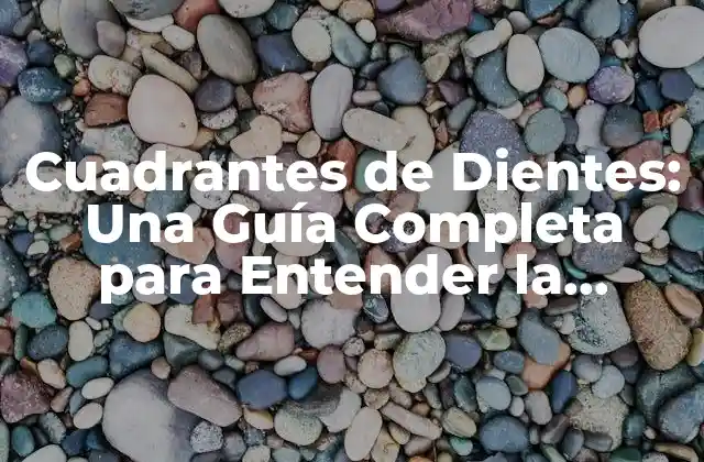 Cuadrantes de Dientes: una Guía Completa para Entender la Anatomía Dental 2 ¿Qué son los Cuadrantes de Dientes?