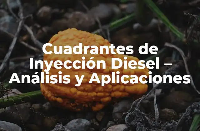 Cuadrantes de Inyección Diesel – Análisis y Aplicaciones