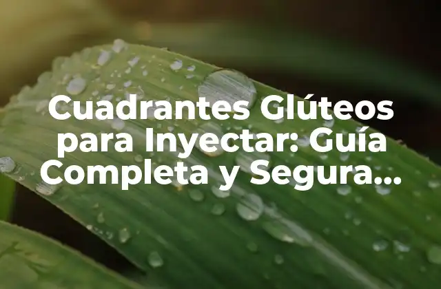 Cuadrantes Glúteos para Inyectar: Guía Completa y Segura para la Inyección de Grasa en los Glúteos