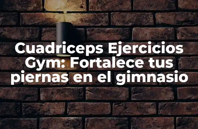 Cuadriceps Ejercicios Gym: Fortalece Tus Piernas en el Gimnasio 2 ¿Por qué son importantes los cuádriceps en el entrenamiento?
