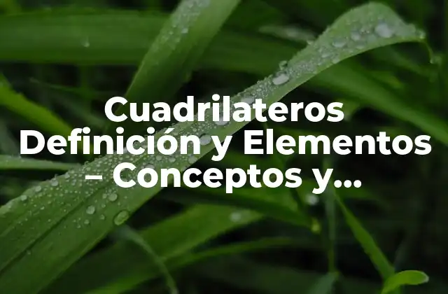 Cuadrilateros Definición y Elementos – Conceptos y Propiedades