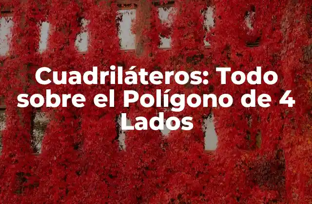 Definición y Propiedades del Polígono de 4 Lados