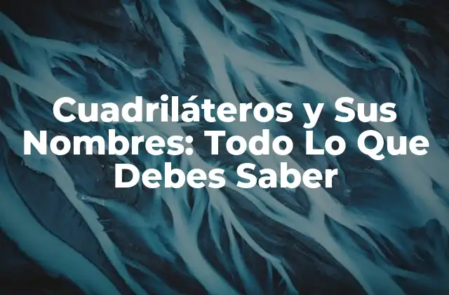 Cuadriláteros y Sus Nombres: Todo Lo que Debes Saber 2 Definición y Propiedades Básicas de los Cuadriláteros