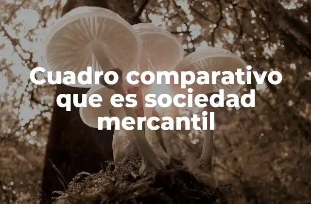 Cuadro Comparativo que es Sociedad Mercantil