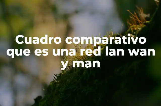 Cuadro Comparativo que es una Red Lan Wan y Man