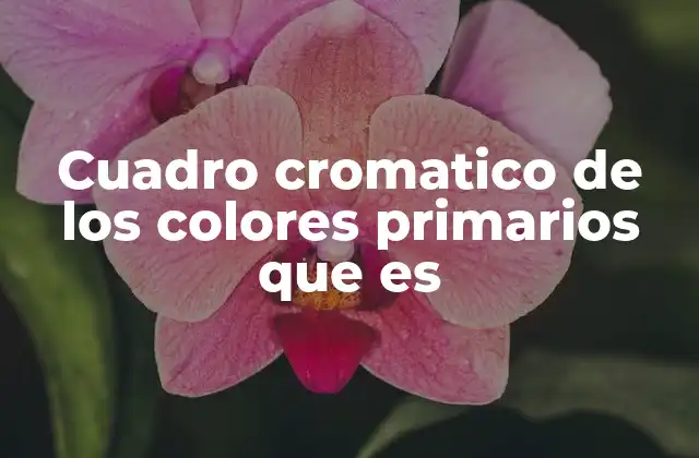Cuadro Cromatico de los Colores Primarios que es