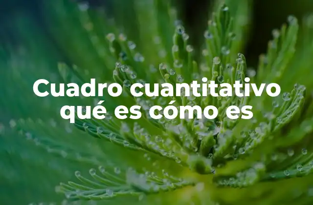 Cuadro Cuantitativo Qué es Cómo es