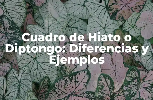 Cuadro de Hiato o Diptongo: Diferencias y Ejemplos
