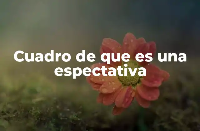 Cuadro de que es una Espectativa