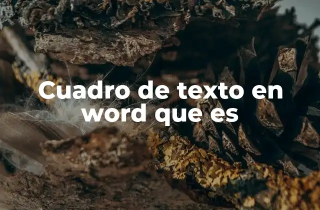 Cuadro de Texto en Word que es
