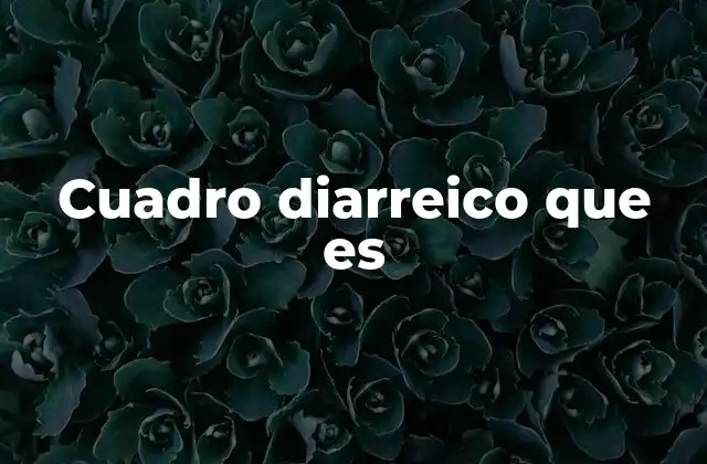 Cuadro Diarreico que es