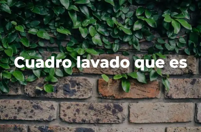 Cuadro Lavado que es