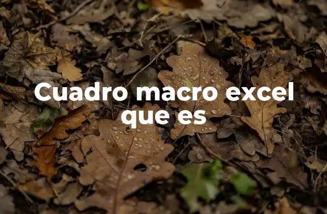 Cuadro Macro Excel que es