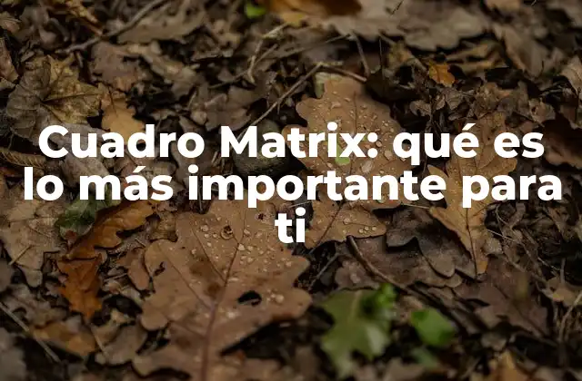 Cómo usar el cuadro Matrix para priorizar lo que de verdad importa