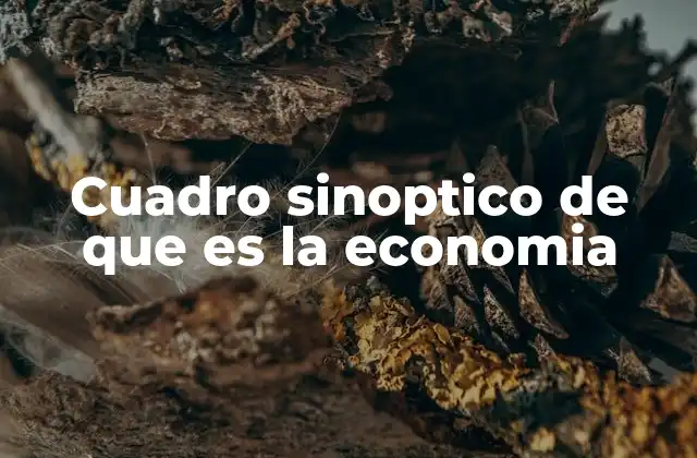 Cuadro Sinoptico de que es la Economia