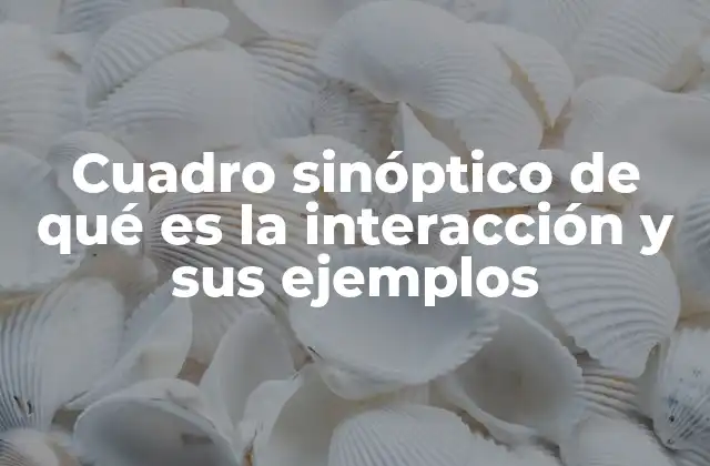 Cuadro Sinóptico de Qué es la Interacción y Sus Ejemplos 2 La importancia de comprender la interacción en diferentes contextos