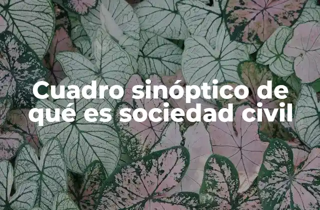 Cuadro Sinóptico de Qué es Sociedad Civil