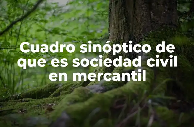 Cuadro Sinóptico de que es Sociedad Civil en Mercantil