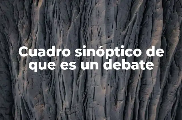 Cuadro Sinóptico de que es un Debate