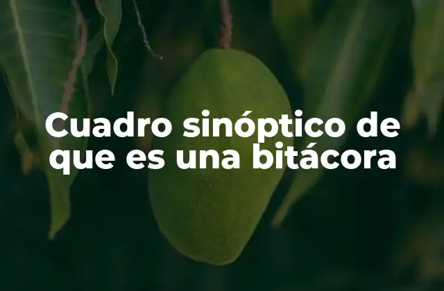 La importancia de mantener registros organizados