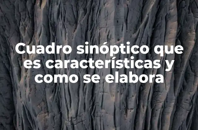 La importancia de organizar información visualmente