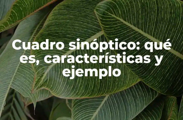 Cuadro Sinóptico: Qué Es, Características y Ejemplo