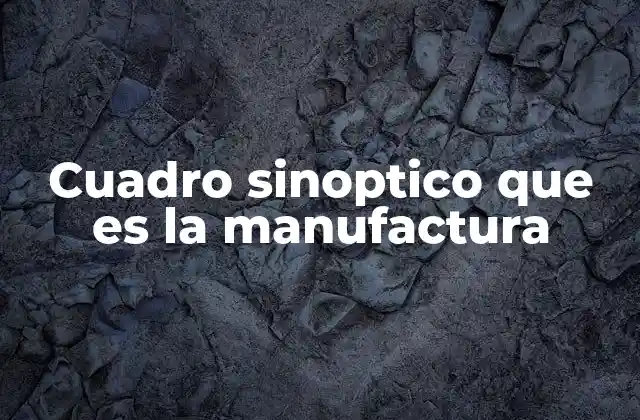 Cuadro Sinoptico que es la Manufactura
