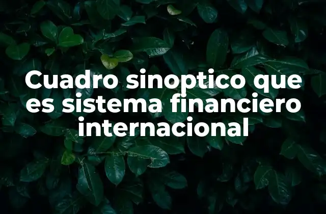 Cuadro Sinoptico que es Sistema Financiero Internacional