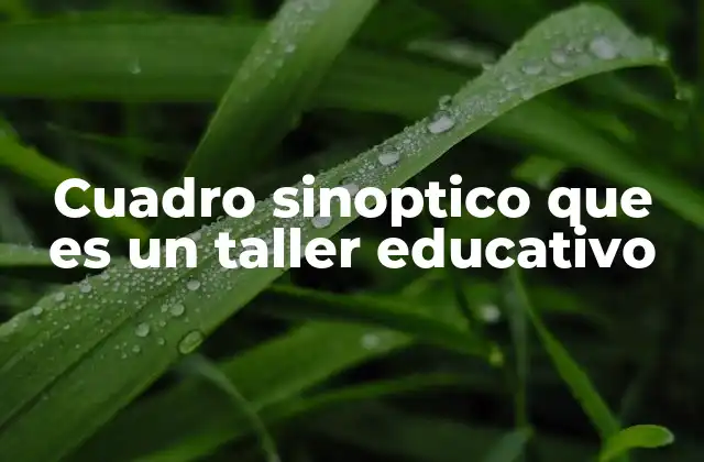 Cuadro Sinoptico que es un Taller Educativo